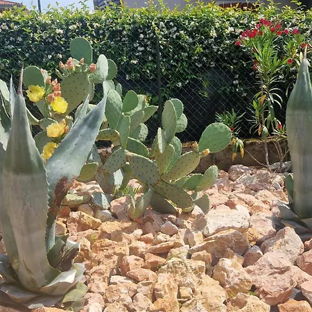 Castelli كوسترمانو